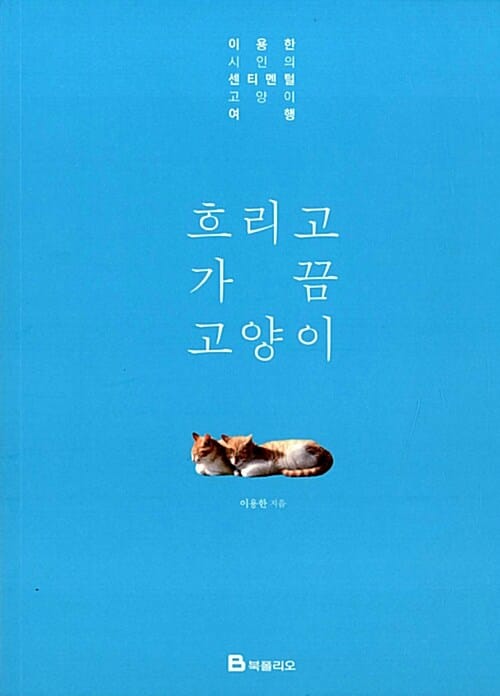 흐리고 가끔 고양이 - 이용한 시인의 센티멘털 고양이 여행