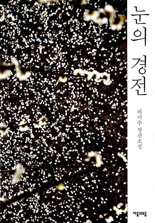 눈의 경전 (해이수 장편소설)