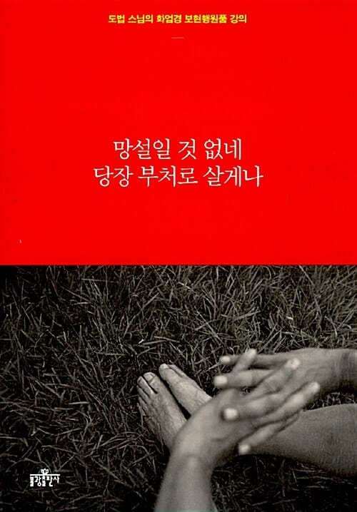 망설일 것 없네 당장 부처로 살게나 (도법 스님의 화엄경 보현행원품 강의)