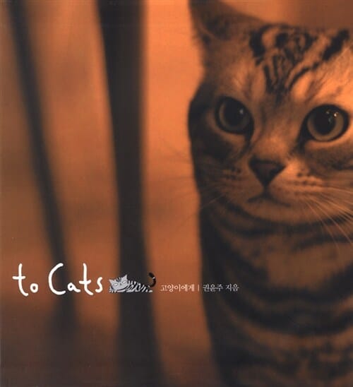 to cats 고양이에게