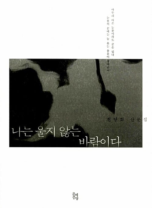 나는 울지 않는 바람이다 (천양희 산문집)