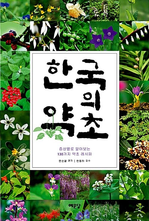 한국의 약초 (증상별로 알아보는 130가지 약초 레시피)