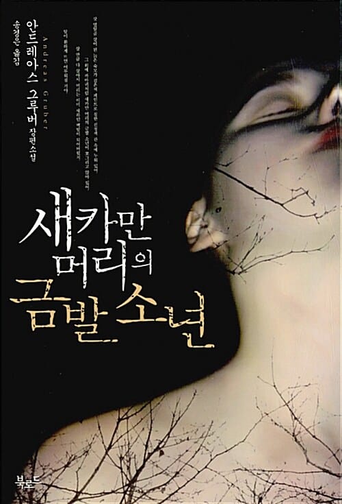 새카만 머리의 금발 소년 (안드레아스 그루버 장편소설)