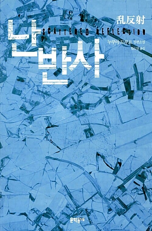 난반사 (누쿠이 도쿠로 장편소설)