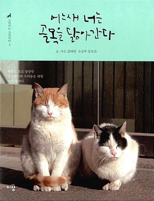 고양이는 고양이다 2 (어느새 너는 골목을 닮아간다)