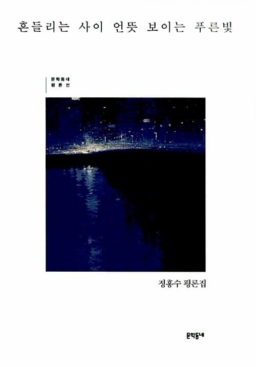 흔들리는 사이 언뜻 보이는 푸른빛 (정홍수 평론집)