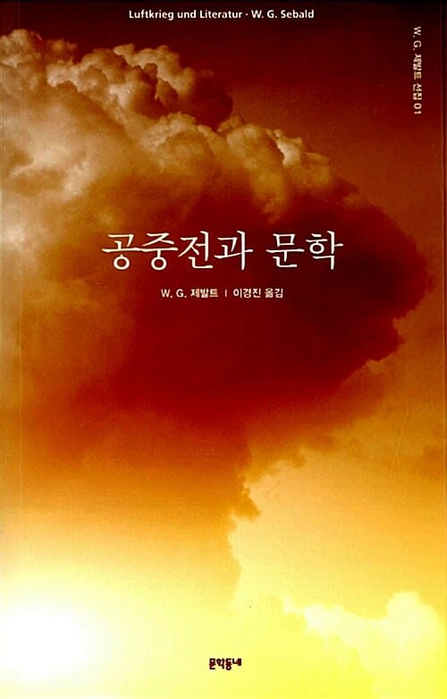 공중전과 문학