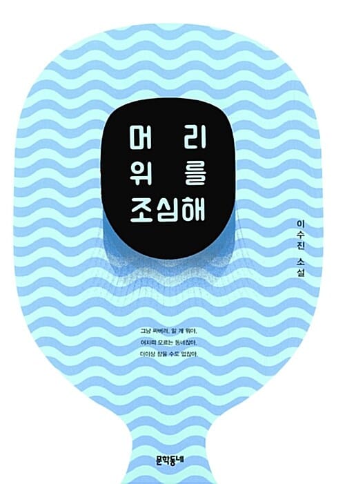머리 위를 조심해 (이수진 소설)