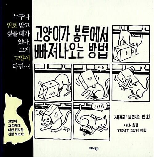 고양이가 봉투에서 빠져나오는 방법