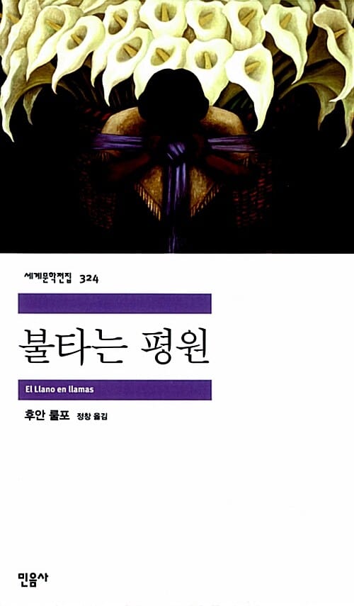불타는 평원 (El Llano en llamas)