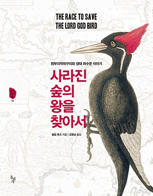 사라진 숲의 왕을 찾아서 (흰부리딱따구리와 생태 파수꾼 이야기,THE RACE TO SAVE THE LORD GOD BIRD)