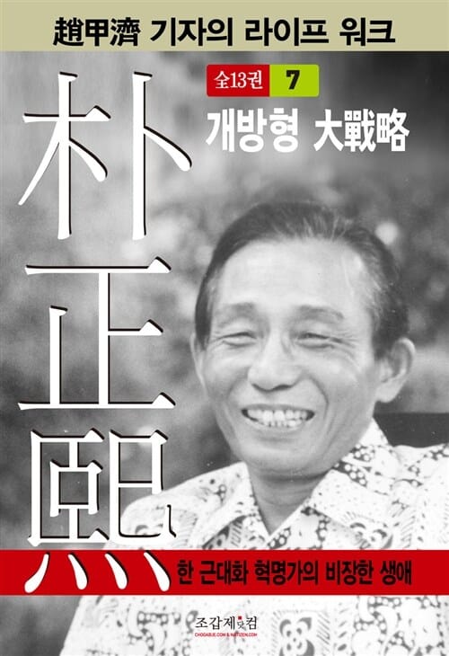 박정희 7 (개방형 대전략)