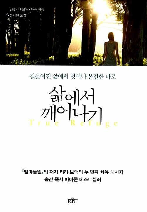삶에서 깨어나기 (길들여진 삶에서 벗어나 온전한 나로)