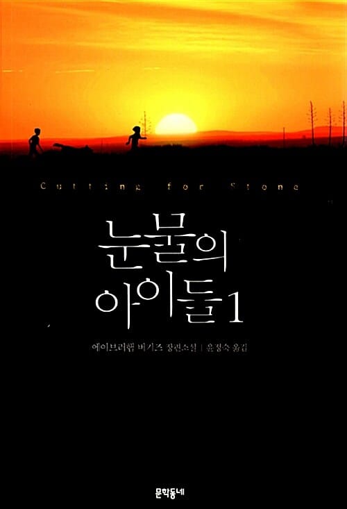 눈물의 아이들 1 (에이브러햄 버기즈 장편소설)