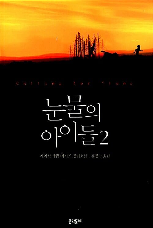 눈물의 아이들 2 (에이브러햄 버기즈 장편소설)