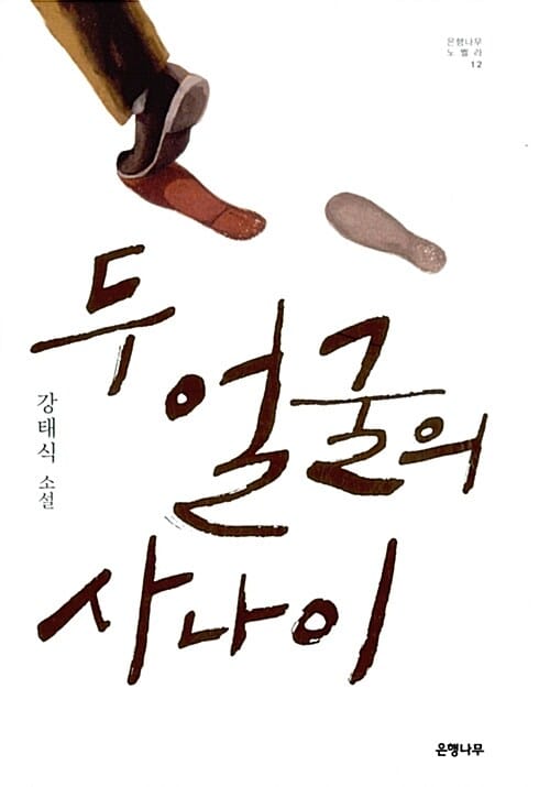 두 얼굴의 사나이 (은행나무 노벨라 12)