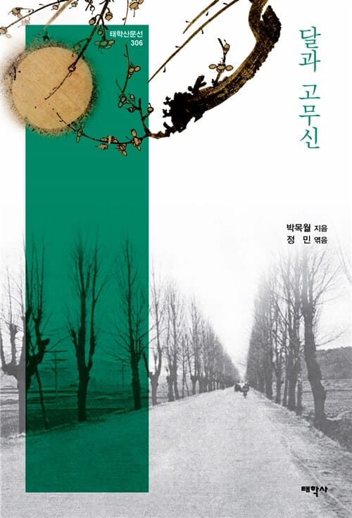 달과 고무신 (박목월 산문선)