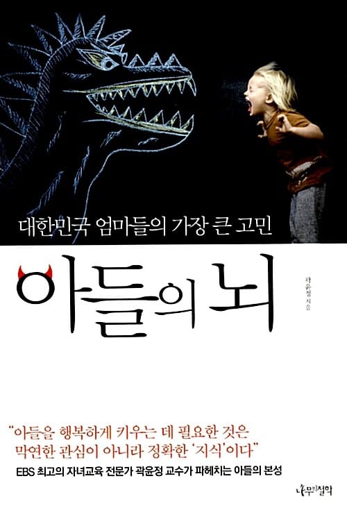 아들의 뇌 - 대한민국 엄마들의 가장 큰 고민