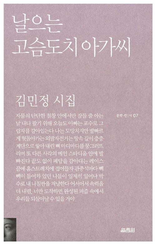 날으는 고슴도치 아가씨
