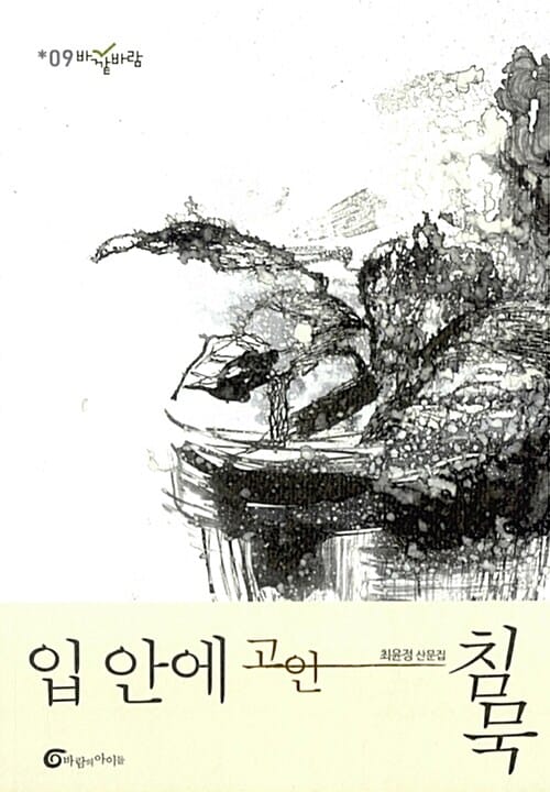 입 안에 고인 침묵 (최윤정 산문집)