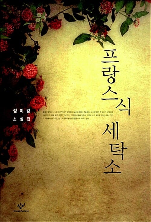 프랑스식 세탁소 (정미경 소설집)
