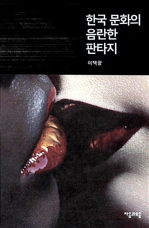 한국 문화의 음란한 판타지