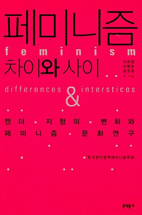 페미니즘 (차이와 사이, 젠더 지형의 변화와 페미니즘 문화연구)
