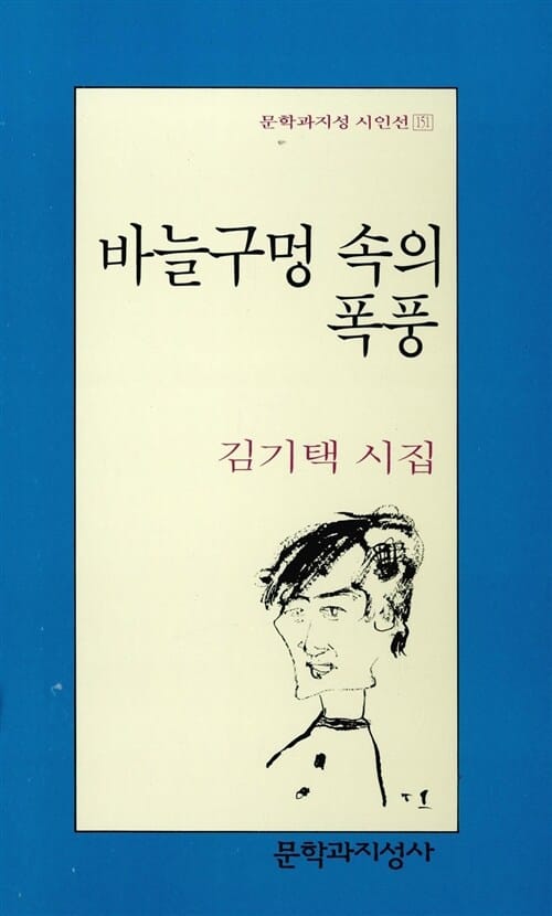 바늘구멍 속의 폭풍 (문학과지성 시인선 151)