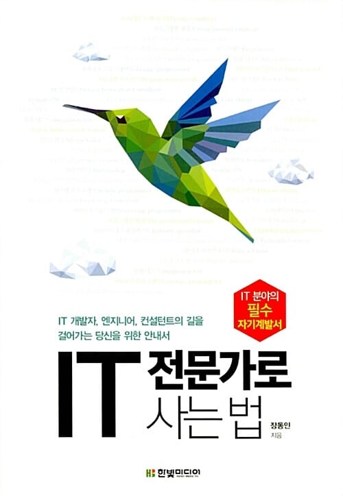 IT 전문가로 사는 법 (IT 개발자, 엔지니어, 컨설턴트의 길을 걸어가는 당신을 위한 안내서)