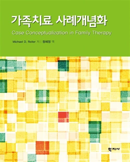 가족치료 사례개념화