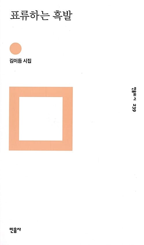 표류하는 흑발 (김이듬 시집)