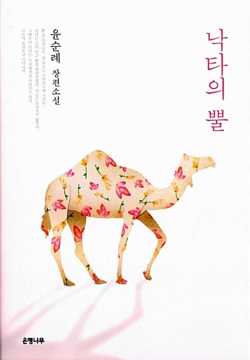 낙타의 뿔 (윤순례 장편소설)