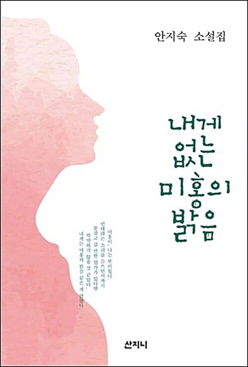 내게 없는 미홍의 밝음 (안지숙 소설집)