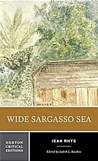 Wide Sargasso Sea (Backgrounds, Criticism)