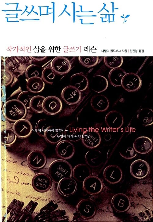 글쓰며 사는 삶 (작가적인 삶을 위한 글쓰기 레슨)