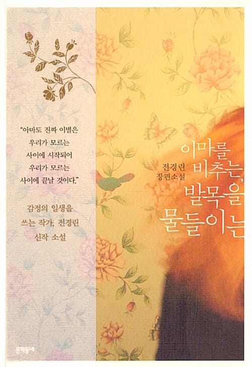 이마를 비추는, 발목을 물들이는 (전경린 장편소설)