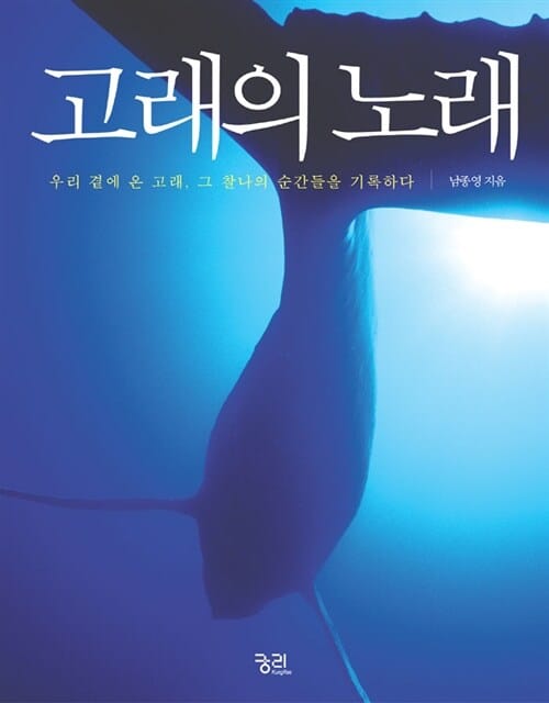 고래의 노래 (우리 곁에 온 고래, 그 찰나의 순간들을 기록하다)