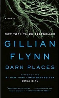 Dark Places: A Novel (다크 플레이스)