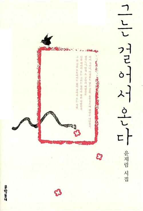 그는 걸어서 온다 (문학동네 시집)