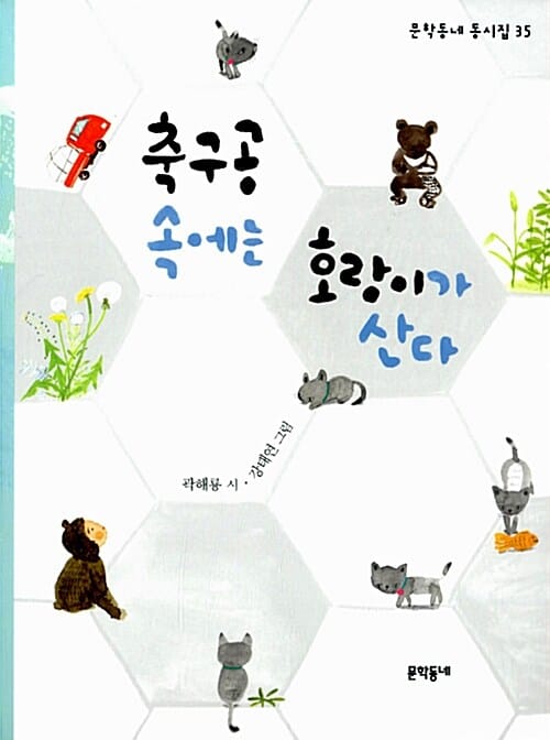 축구공 속에는 호랑이가 산다