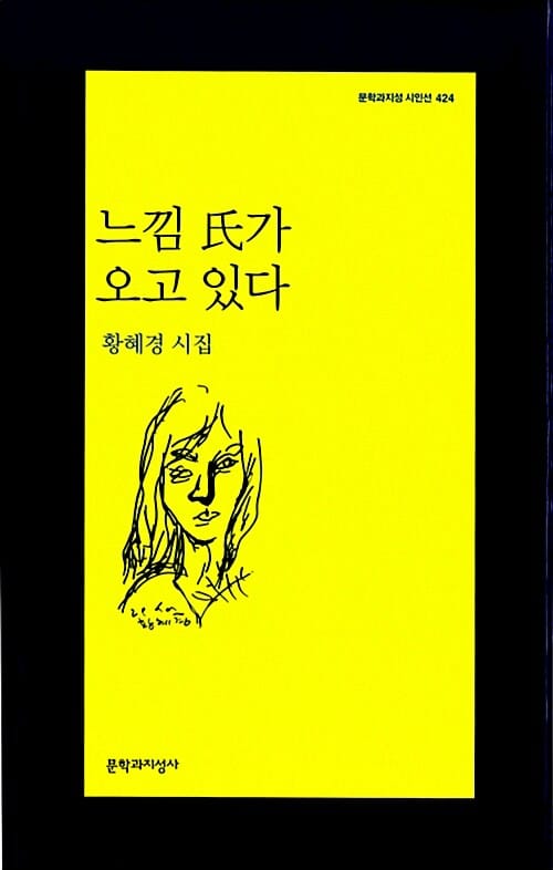 느낌 씨가 오고 있다 (황혜경 시집)