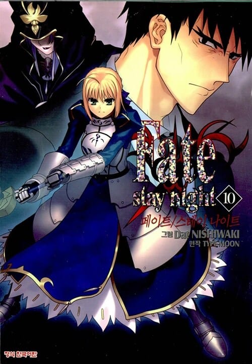 페이트 스테이 나이트 10 (Fate Stay Night)