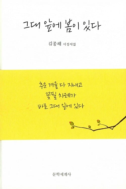 그대 앞에 봄이 있다 (김종해 서정시집)