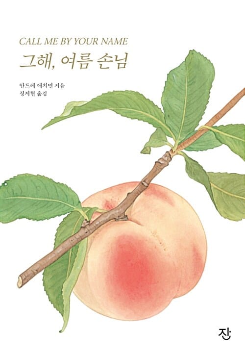 그해, 여름 손님 (양장)