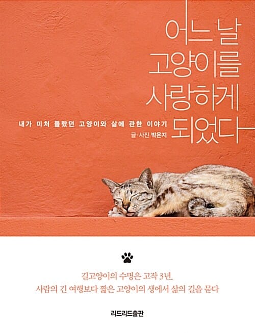 어느 날 고양이를 사랑하게 되었다