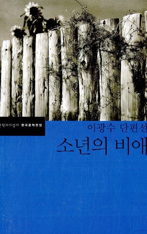 소년의 비애 (이광수 단편선)