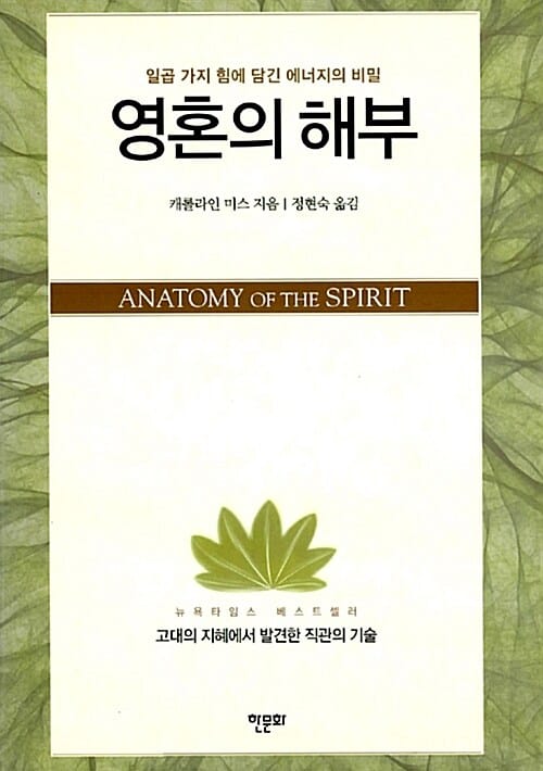 영혼의 해부 (일곱 가지 힘에 담긴 에너지의 비밀)