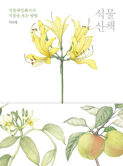 식물 산책 (식물세밀화가가 식물을 보는 방법)