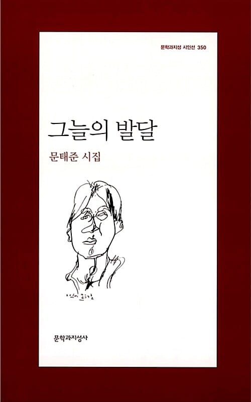 그늘의 발달