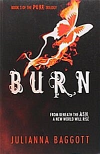 Burn
